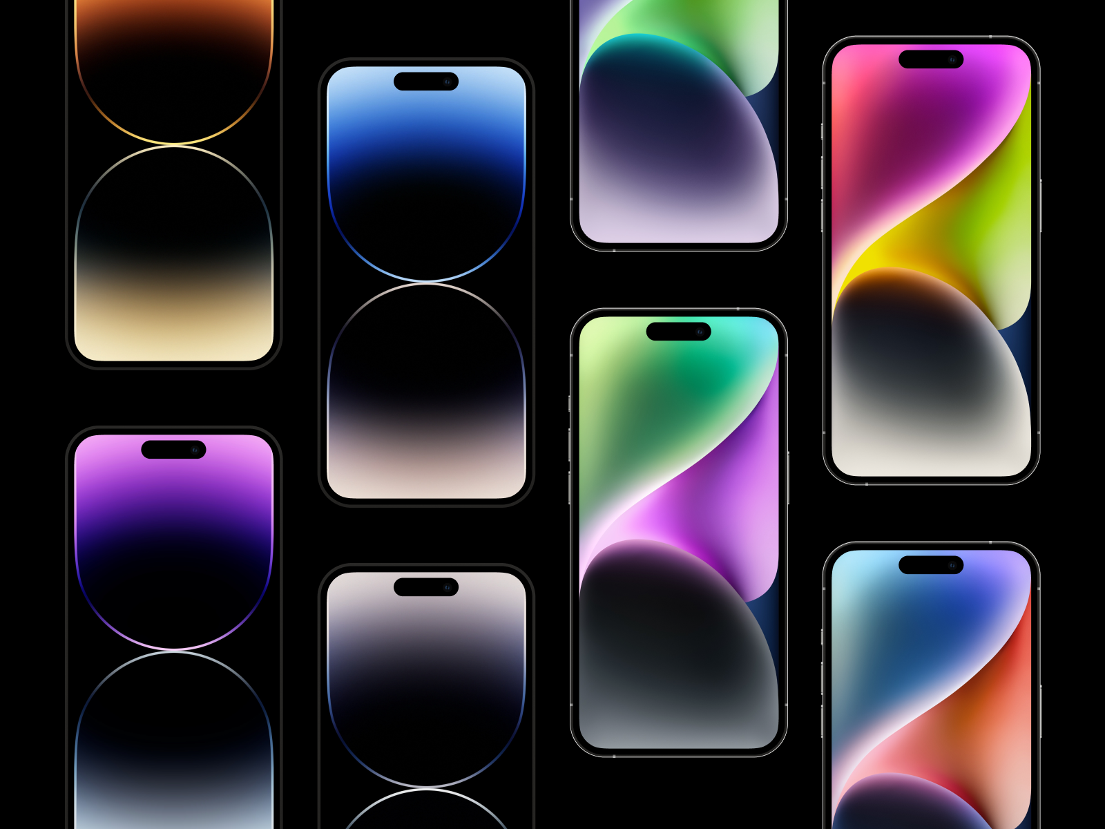 iPhone 14 pro wallpapers by George Turp on Dribbble