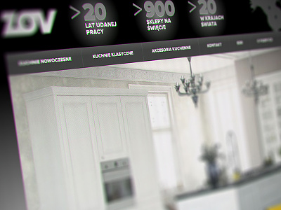 New website design for ZOV Poland