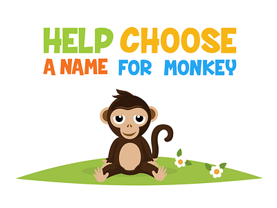 Help choose a name for monkey