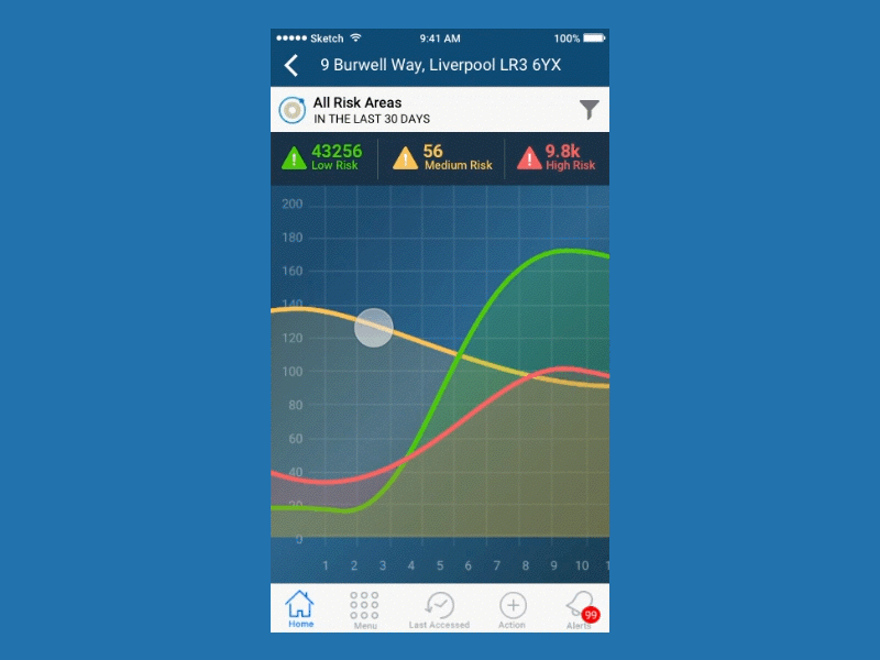 Risk Assessment Report graph mobileapp motiondesign report ui ux