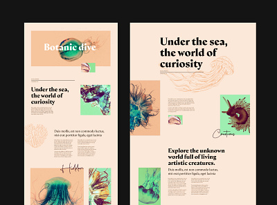 Botanic Dive 🐙 biodiversity branding design dive encyclopedia graphic design sea typography ui under