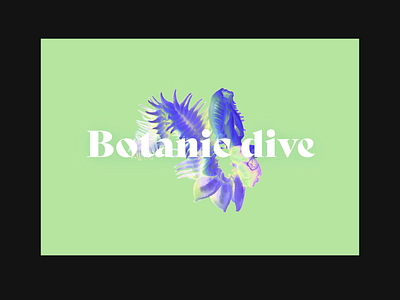Botanic Dive 🐙 #2 art direction botanic branding design dive encyclopedia graphic design ui web