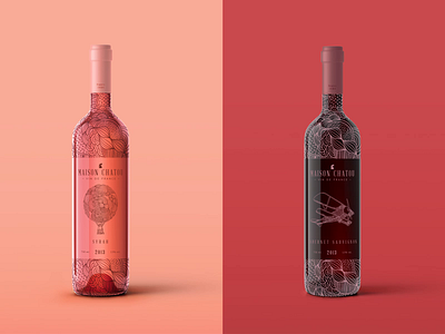 French Wine for South American's bottle branding design french illustration packaging wine