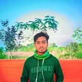 Murshalin Sojib