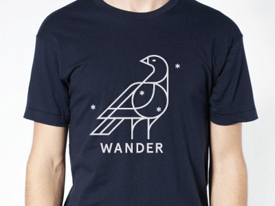 Wander T 2nd Edition