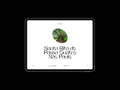 Santa Rita clean design header layout minimal typography whitespace