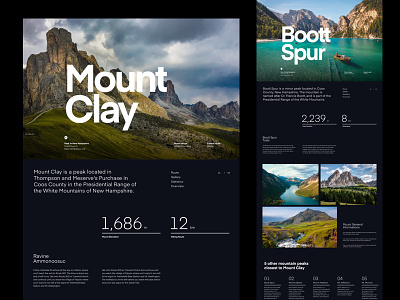 Mountain Hills Landing bold clean font grid header layout typo typography website