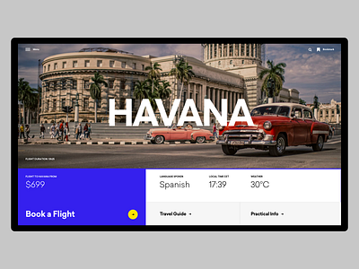 Travel Guide clean design grid guide layout minimal slider travel typography web website whitespace