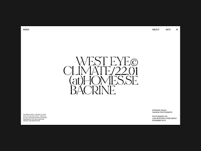 WEST EYE EXHIBITION clean design grid header layout minimal typography web website whitespace