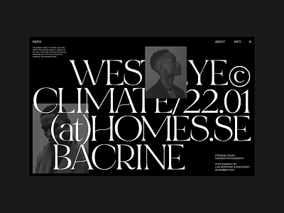 WEST EYE EXHIBITION—DARK clean design grid header layout minimal typography web website whitespace