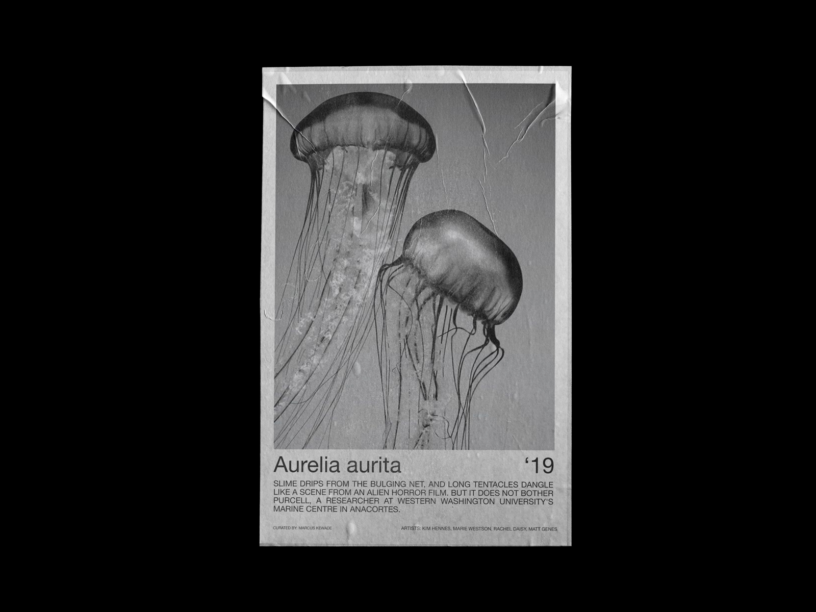 Aurelia Aurita Exhibition Poster by Hrvoje Grubisic on Dribbble