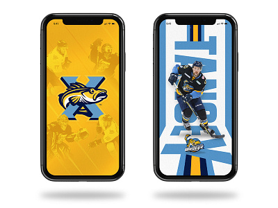 Toledo Walleye Phone Wallpaper echl hockey iphone iphone x minor league hockey phone phone wallpaper sports wallpaper