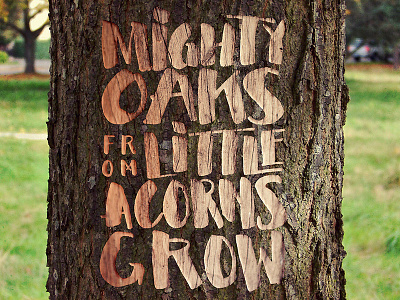 Mighty oaks hand lettering hand lettering typography illustration textures