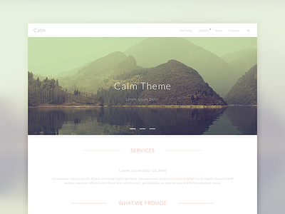 Calm Theme clean flat modern theme ui ux