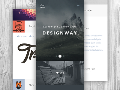 Designway Mobile blog design flat mobile photography responsive ui ux web website