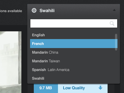 Translation Finder menu search ui