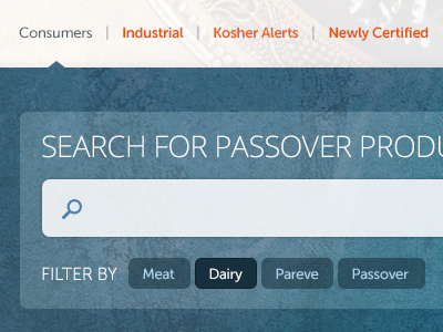Search for Passover Products filters search ui