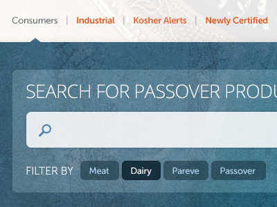 Search for Passover Products