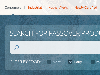 Search for Passover Products v2