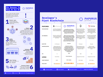 Papyrus Network Infographic