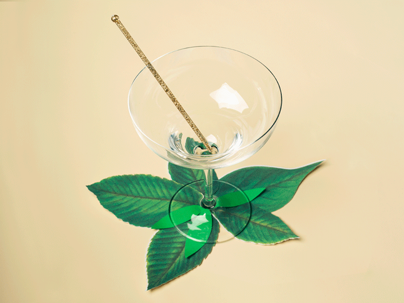 Daisy Cocktail animation art direction flowers gif paperless post photography spring stop motion