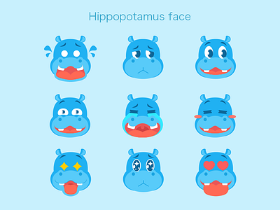 Hippopotamus face