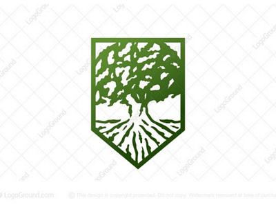 Guardian Oak Logo brand design guardian oak guardian oak logo identity logo logos oak oak logo oak logos oak tree oak tree logo oak tree logo for sale shield oak shield oak logo