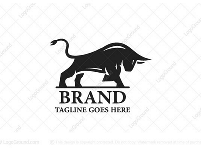 Bull Logo animal branding bull bull logo bulls design graphic logo logo for sale logos taurus toro