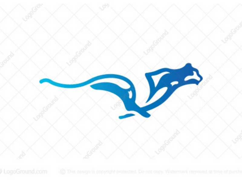 Cheetah Running Logo
