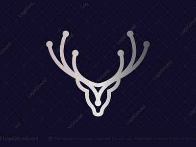 Deer Logo brand buck deer deer head deer head logo deer logo identity logo stag tech technology