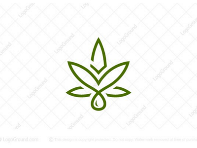 Eagle Cannabis Logo brand cannabis cannabis logo cannabis logo for sale cbd eagle extract identity logo oil