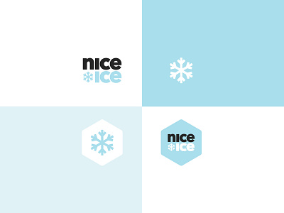 Branding for a concept ice cream company branding design ice cream icon illustration illustrator logo vector