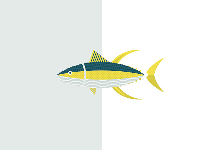 Yellowfin Tuna / Hamachi Illustration