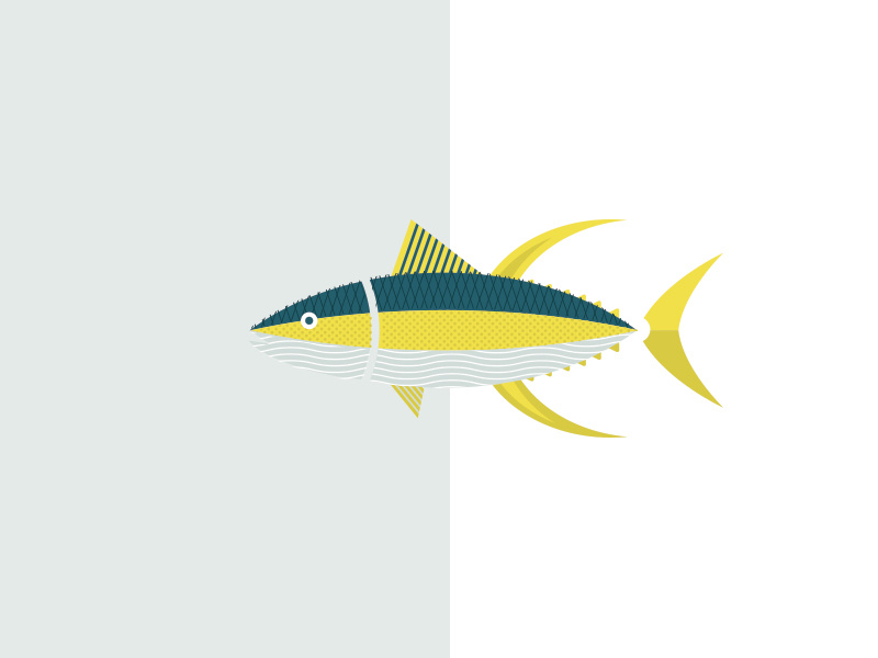 Yellowfin Tuna / Hamachi Illustration by Joseph Szala for Vigor on Dribbble