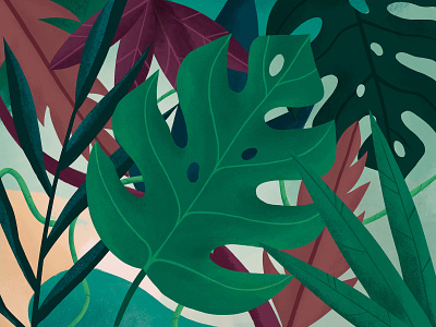 Leaves illustration jungle leaves monstera nudds procreate