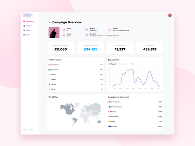 Campaign Analytics analytics campaign dashboard demographic graph home nudds social stats ui video