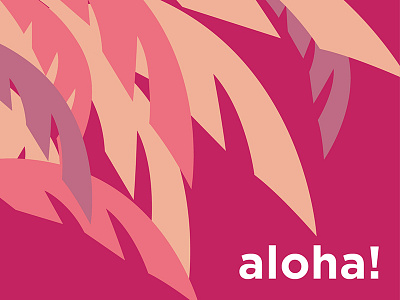 aloha! aloha debut hawaii