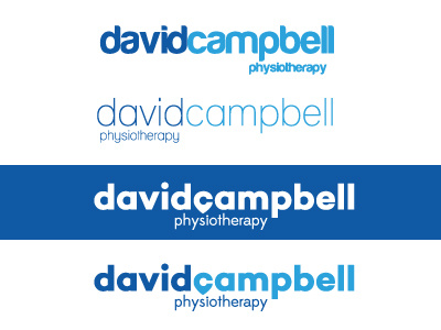 Brand for a client blue brand colours illustrator physio thin type vector