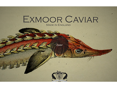 Exmoor Caviar caviar design exmoor caviar html5 php responsive rwd sturgeon web