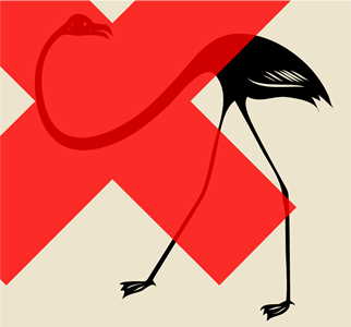 Flamingo illus