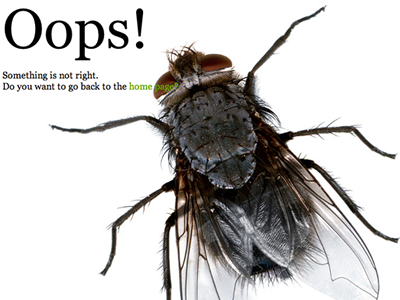 404 Page 404 bzzzz error flies