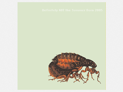 Definitely NOT the Summer Burn album album cover artwork bug flea summer burn tick