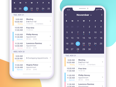 Appointment Calendar by Khoruzhyi Andrii on Dribbble