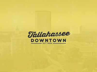 Tallahassee Downtown bold florida logo rebrand script tallahassee tally typography website