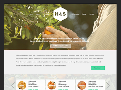 H&S Website Concept citrus design layout mockup web web design website