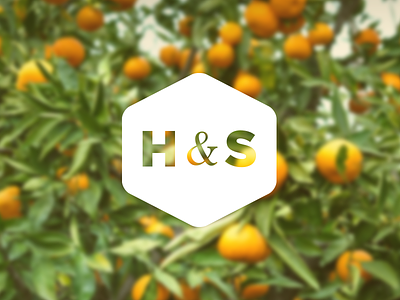 H&S Logo Concept