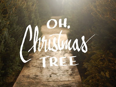 Oh Christmas Tree Hand Lettering christmas christmas tree hand drawn hand lettering type typography