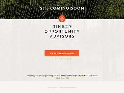 TOA Splash Page splash page timber web design wier stewart