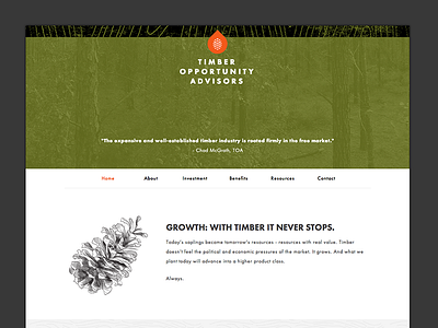 TOA Website interactive ui web design website wierstewart wood grain