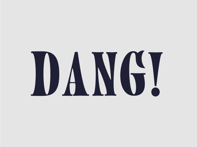 Dang Type 12 woodblock type typography type serif dang custom typography